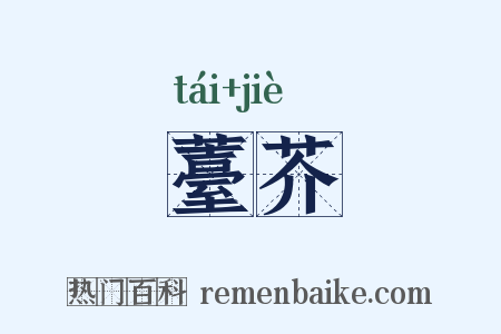 薹芥是什么意思的图片